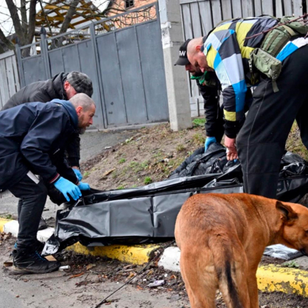 Bucha ist ein Tatort: In Bucha wird eine Leiche in einen Leichensack gelegt, um sie von der Straße zu entfernen
